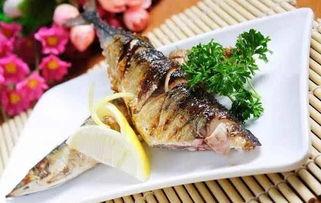 网红黑料牛奶秋刀鱼 潜规则是什么意思网络用语,网红黑料背后的权力游戏